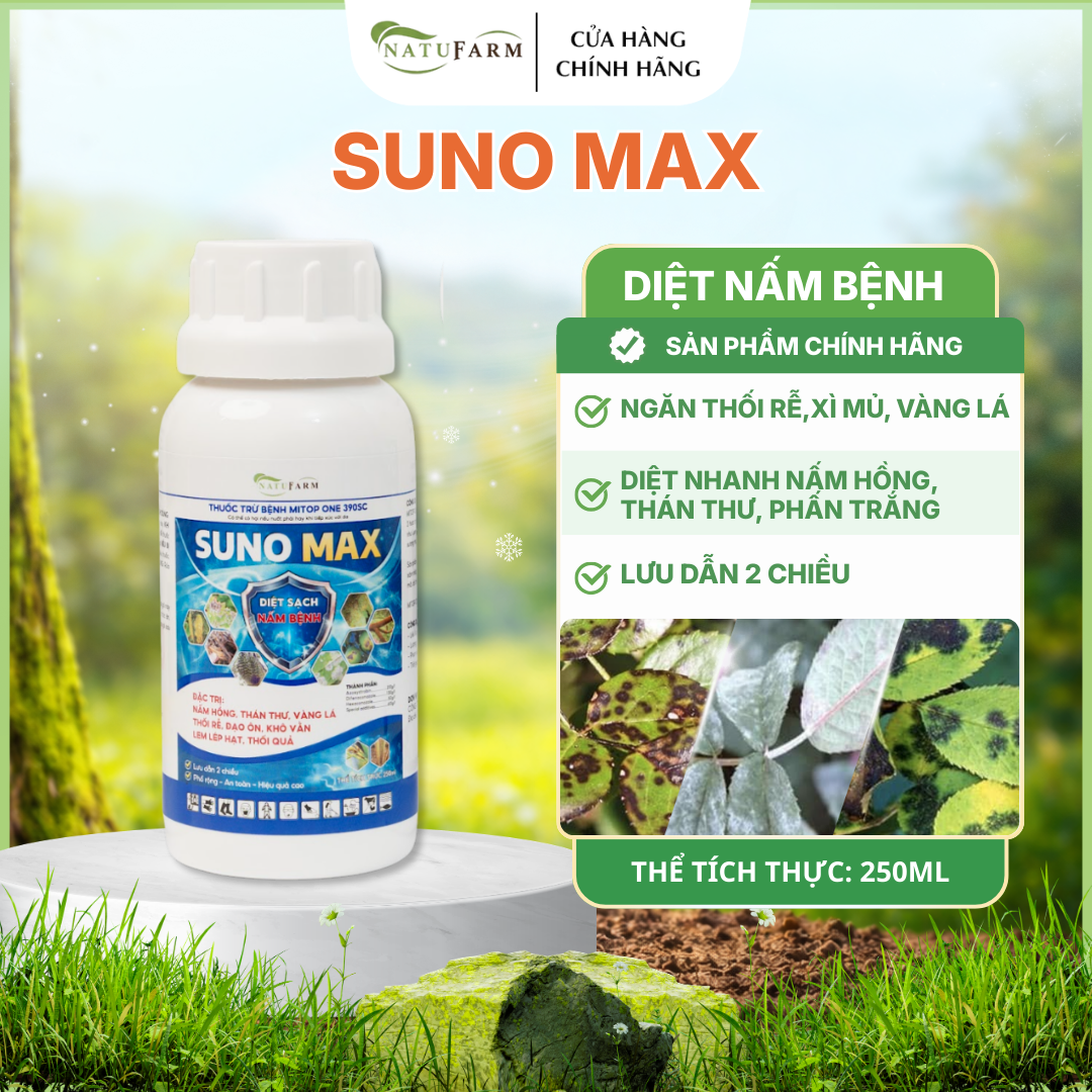 suno-max