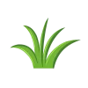 Thuốc trừ cỏ